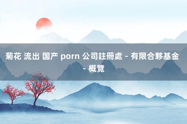 菊花 流出 国产 porn 公司註冊處 - 有限合夥基金 - 概覽