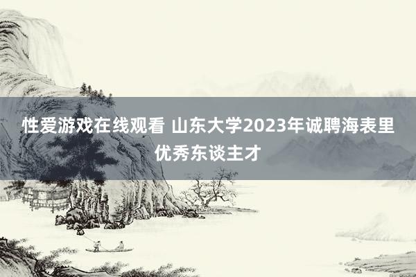 性爱游戏在线观看 山东大学2023年诚聘海表里优秀东谈主才