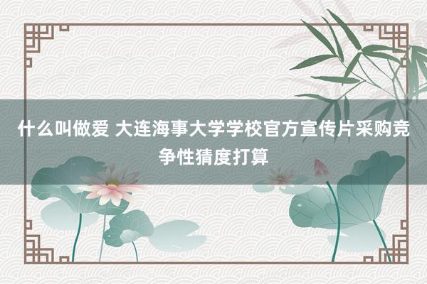 什么叫做爱 大连海事大学学校官方宣传片采购竞争性猜度打算